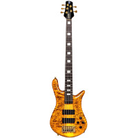 5 string electric basses