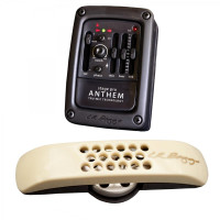 Acoustic guitar pickups