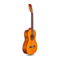 Classicial guitars 3/4