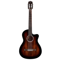 Classicial guitars with electronic
