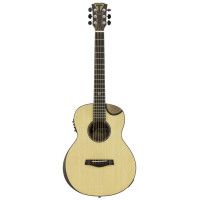 Miscellaneous acoustic guitars