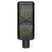 Lewitt LCT 441 FLEX Studio Microphone