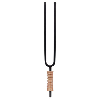 Schlagwerk Tuning Fork Earth Platonic Year