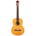 Cordoba C3M