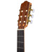 Cordoba C1M Full Size, matte finish