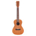 Cordoba Ukulele Player Pack Concert