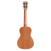 Cordoba Ukulele Player Pack Concert