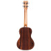Cordoba 15CB  Concert ukulele