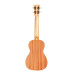 Cordoba U1 Protege Ukulele