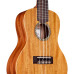 Cordoba 20CM Concert ukulele