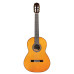 Cordoba C9 Parlor with bag