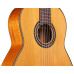 Cordoba C9 Parlor with bag
