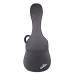 Cordoba C9 Parlor with bag