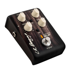 LR Baggs Align Delay