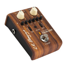 LR Baggs Align Equalizer acoustic preamplifier 