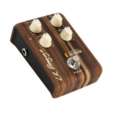 LR Baggs Align Reverb 