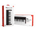 IK Multimedia iRig Keys 2 Mini midi klaviatūra